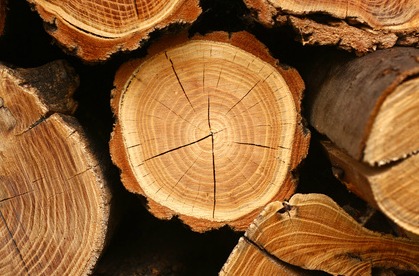 skrzynka drewniana drewno ze sklejką