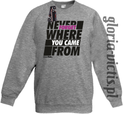 Never Forget Where You Came From - Bluza dziecięca standard bez kaptura melanż 